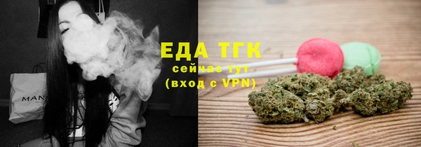 индика Надым