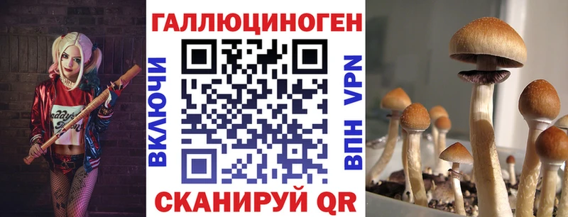 mega зеркало  Петровск-Забайкальский  Псилоцибиновые грибы GOLDEN TEACHER 